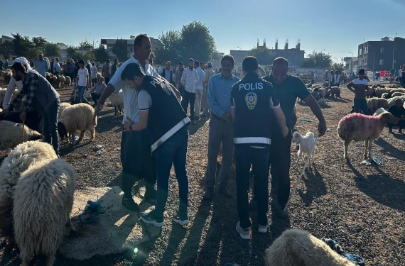 Çok sayıda yakalandı