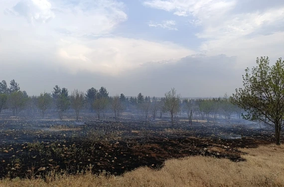 Peş peşe yangınlar…