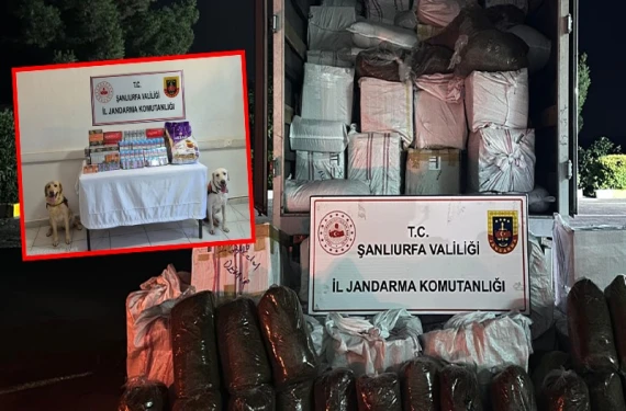 Şanlıurfa’da jandarmadan kaçakçılara darbe!