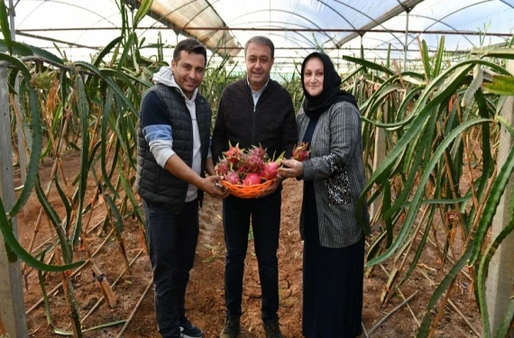 Vali Şıldak tebrik etti