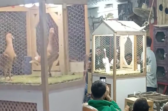 Gören şaştı kaldı!