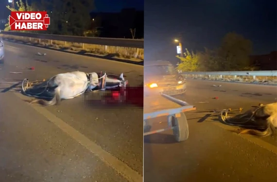 Köprüde ata çarptı