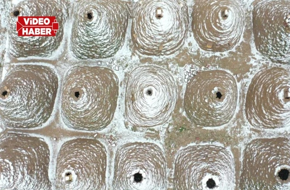 Görenler gözlerine inanamıyor