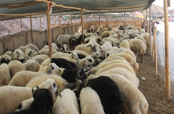 Şanlıurfa’da ne zaman açılacak?