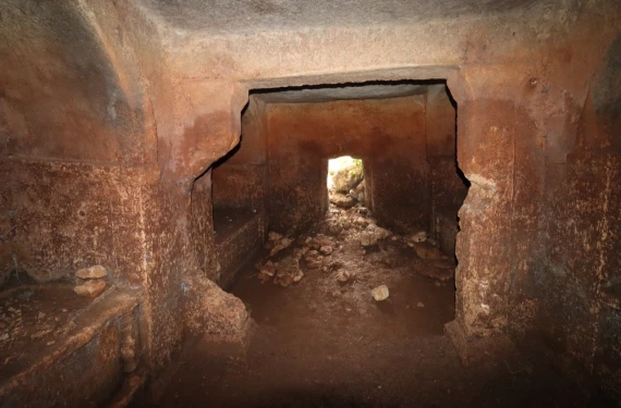 Heyecanlandıran keşif!