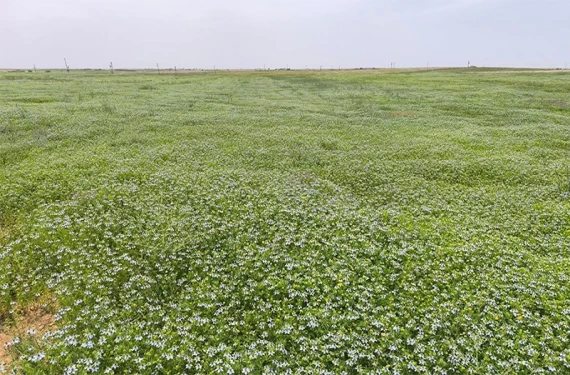 Her karışında bereket fışkırıyor