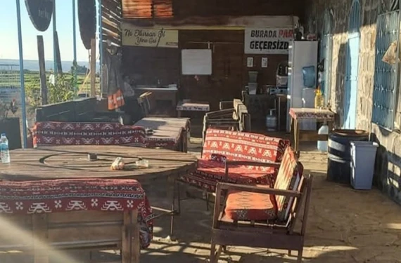Her şey ücretsiz!