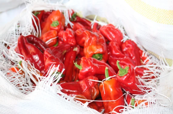 İsotun tadı acı fiyatı tatlı