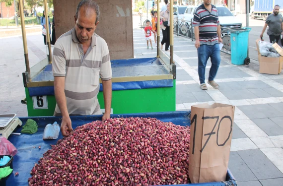 Çekirdekten ucuz