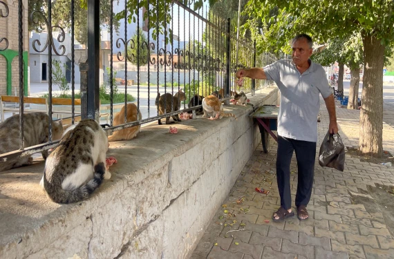 30 yıldır vefalı bakış