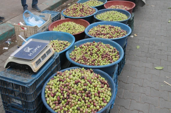 Şanlıurfa'da zeytin fiyatları tavan yaptı!