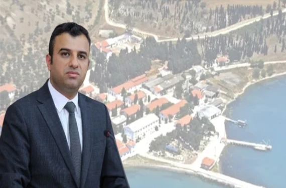 Radikal kulis: