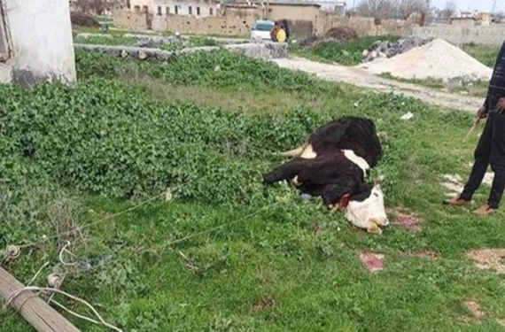 Yetkililerden yardım talebi