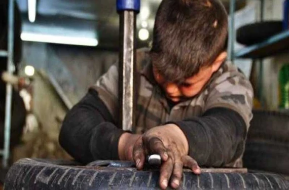 İş cinayetlerinde korkunç tablo: