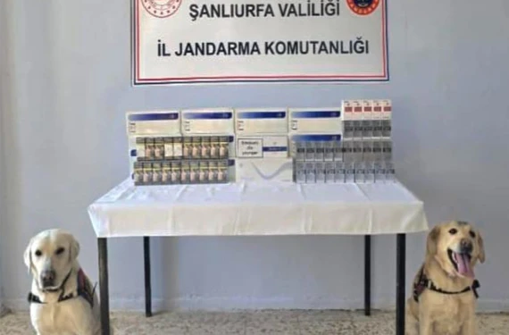 Yüzlerce kaçak paket ele geçirildi