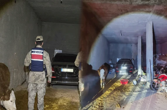 Ahırdan bakın ne çıktı