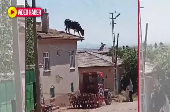 Bir bayram klasiği!