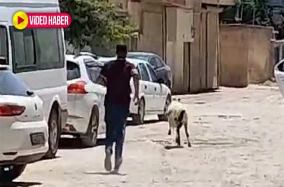 Kurban Bayramı manzaraları: