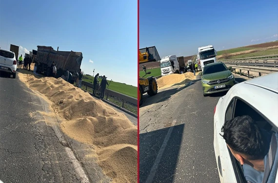 Buğdaylar asfalta döküldü
