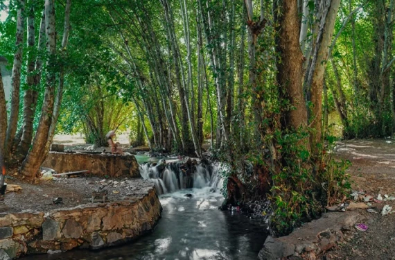 Sebebi herkesi şaşırttı