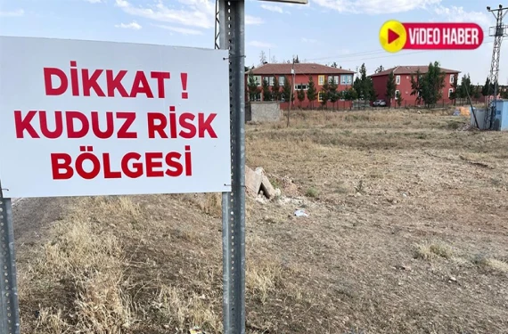 Şanlıurfa'da kuduz alarmı!
