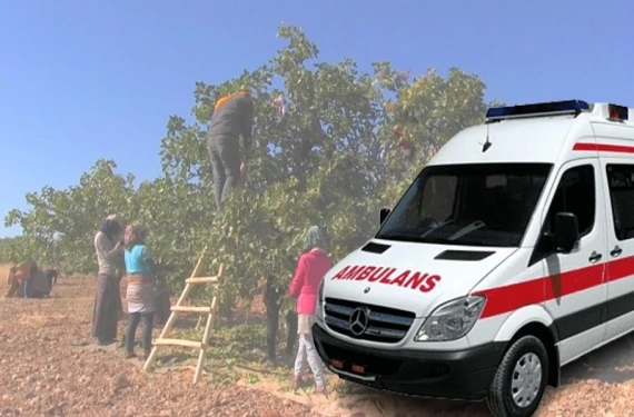 Tarlada silahlar konuştu: