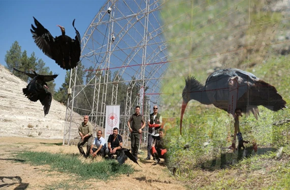 Şanlıurfa’da bir ilk
