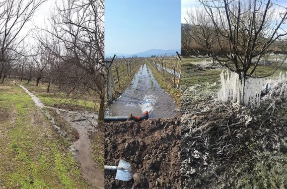 “Kısacası kış sulaması yapmalıyız”