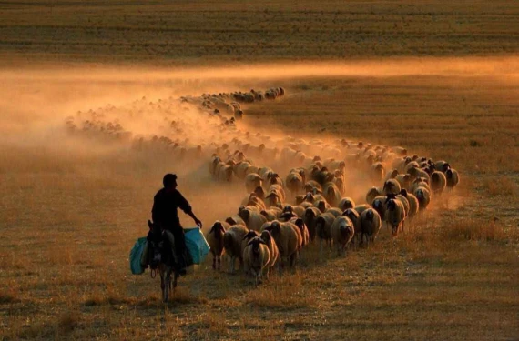 Urfa’da bu mesleği yapanlar yaşadı: