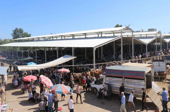 Kurban kesim yerleri...