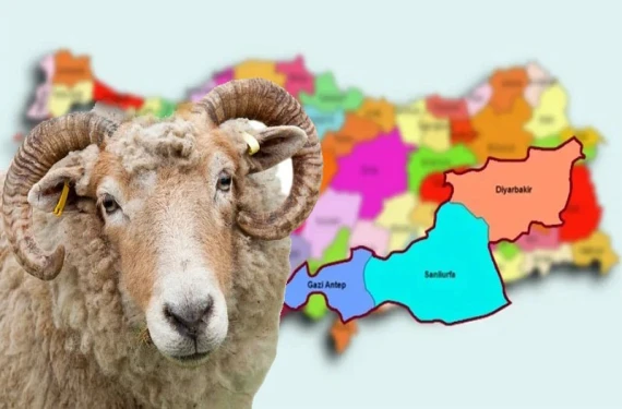 İşte detaylar