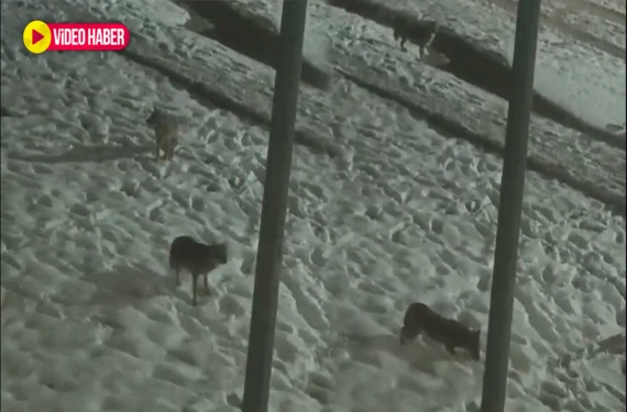 O anlar kameraya yansıdı