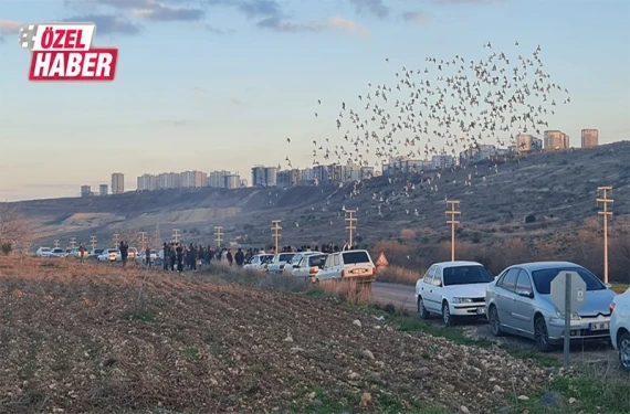 Şanlıurfa semalarında güvercinler!