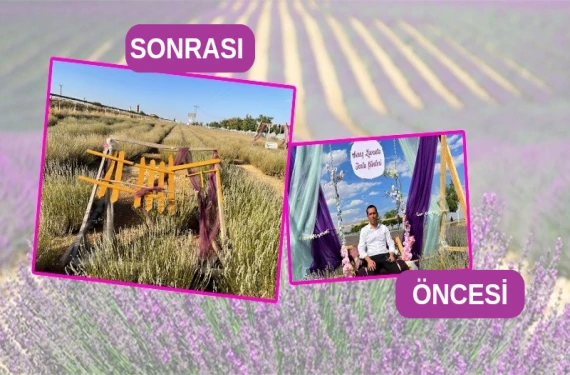 Eskiden lavanta kokardı şimdi pis kokular yükseliyor!