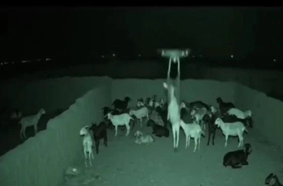 Paylaşan paylaşana