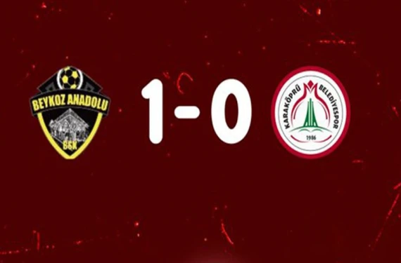 Yine aynı sonuç...