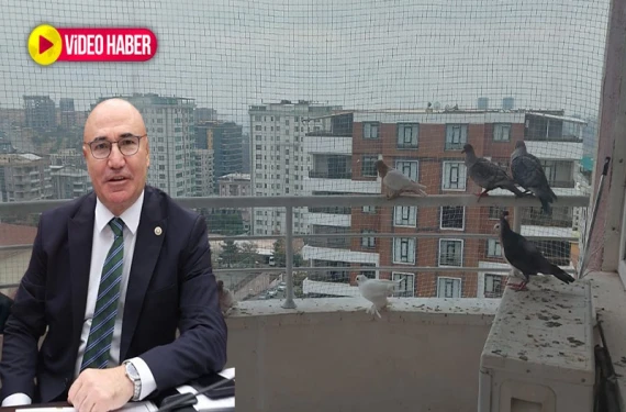 Vekil Tanal Meclis'e taşıdı