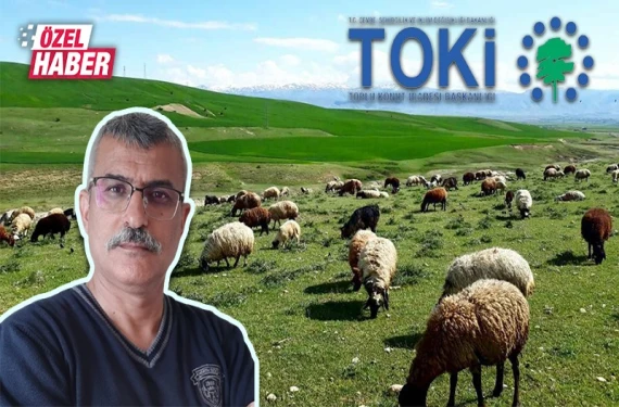 TOKİ meralara el koydu
