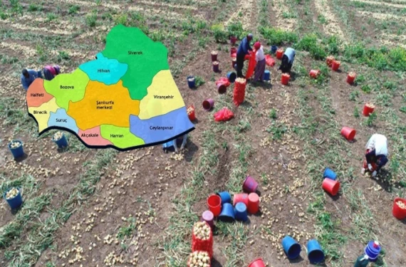 Tazminat alabilirler mi?