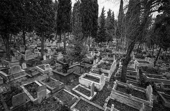 Merak uyandırıyor