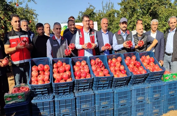 Türkiye’de 8’inci sırada yer alıyor!