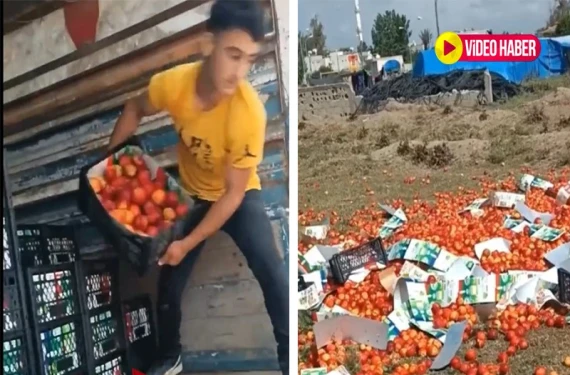 Mersin’de para etmiyor deyip boş arsaya döktü