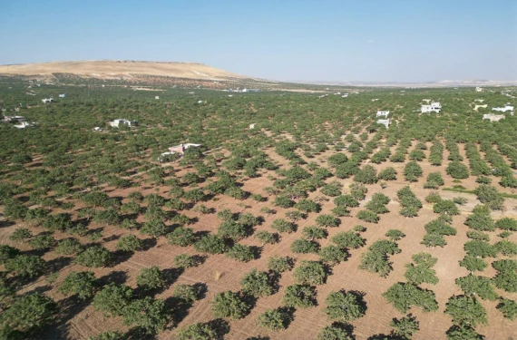 102 bin kişi tapu alacak