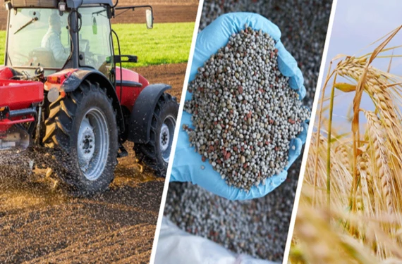 Hesaplarınızı kontrol edin