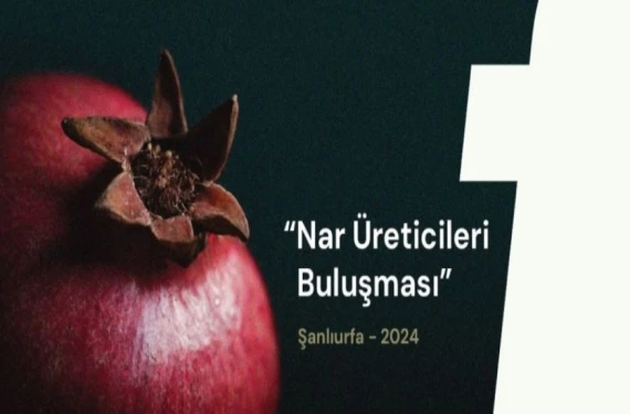 Akademisyenler anlatacak...