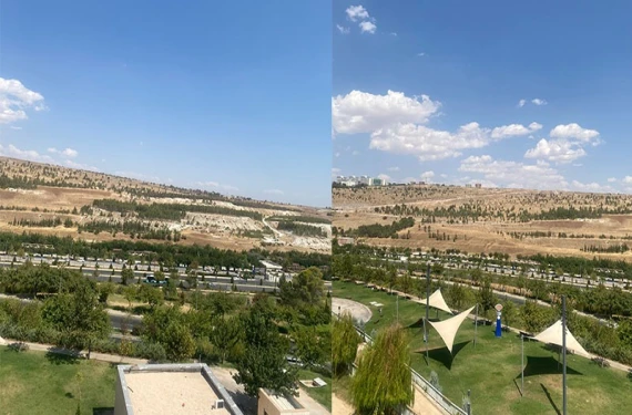 İşte orman çağrısı