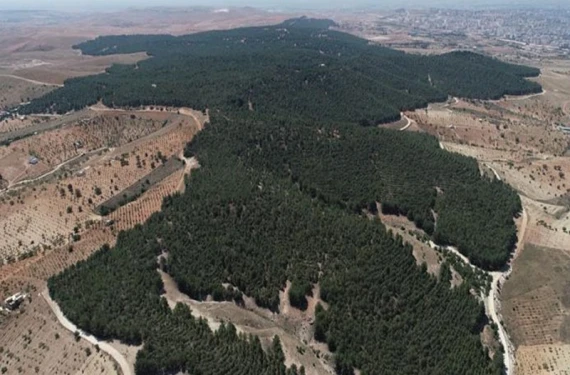 Veriler açıklandı!