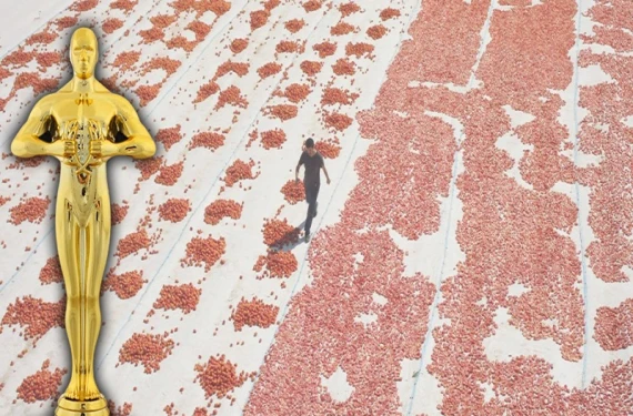 14 film arasından seçildi