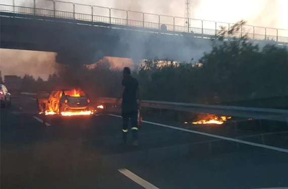 Şanlıurfa'da korku dolu anlar: