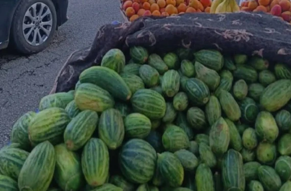 Mideler bayram etti...